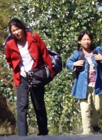 一区二区高清视频