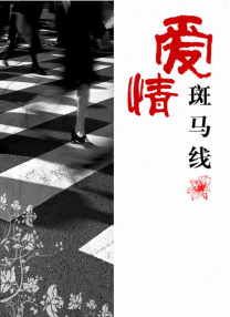 91视频网