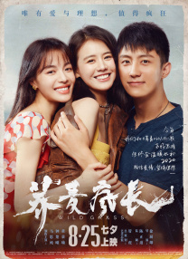 我是这条街最靓的仔