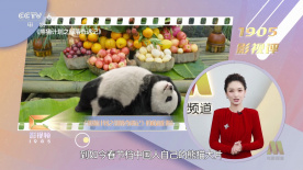 国产小视频91